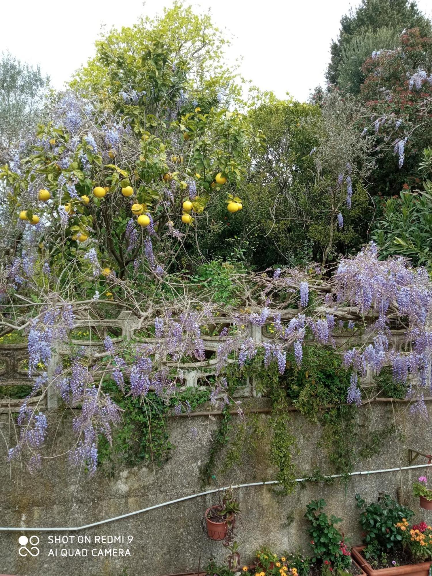 Belvedere Di Caiazzo Экстерьер фото